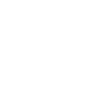 light high resolution logo transparent 4