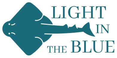 light high resolution logo 2