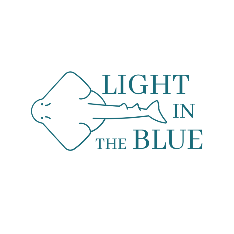 light high resolution logo