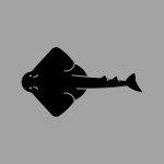 light high resolution logo grayscale 6