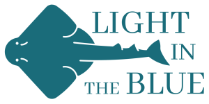 light high resolution logo 2