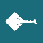light high resolution logo 6