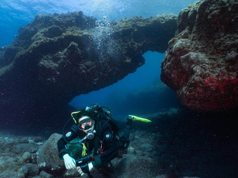 diver and arch