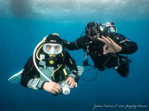 Diver Imagery safety stop divers