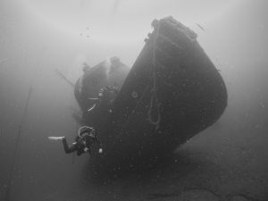 Diver Imagery tabaiba 2