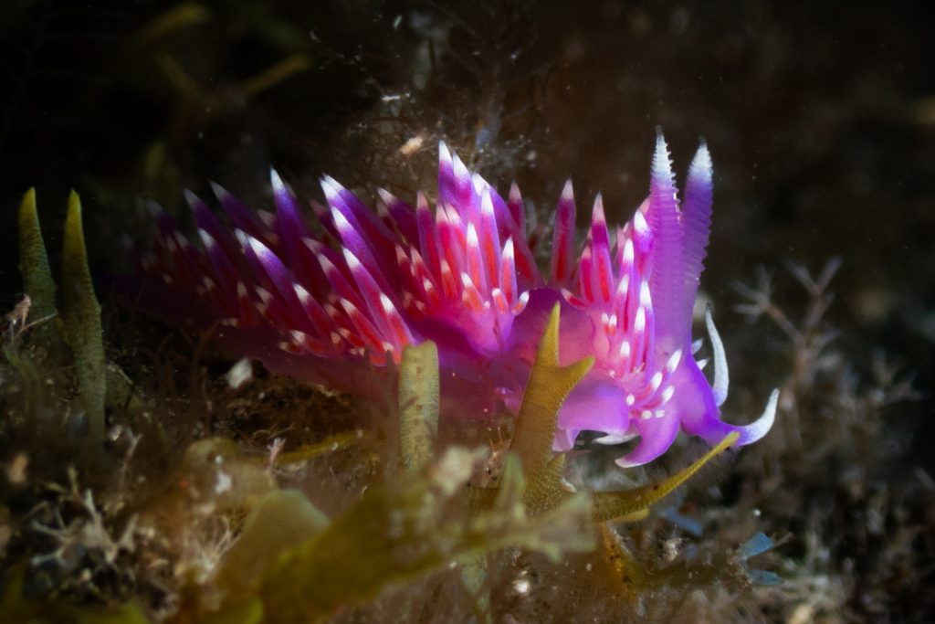p5010201