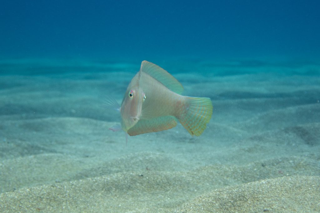 p6080308