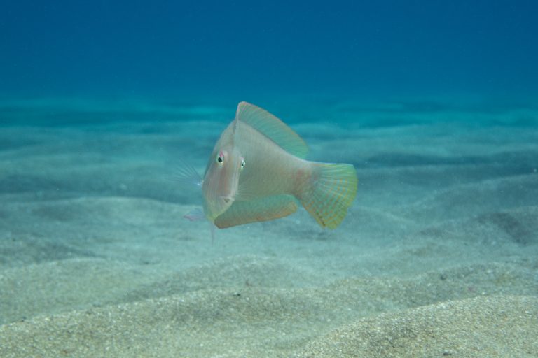 p6080308